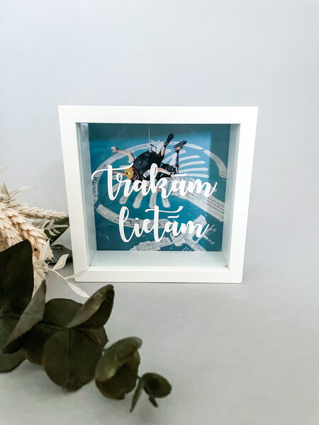 Koka krājkase "Trakām lietām" BTL1